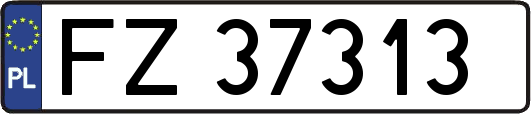 FZ37313