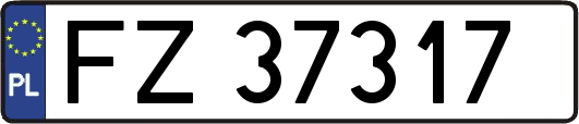 FZ37317