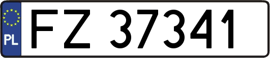 FZ37341