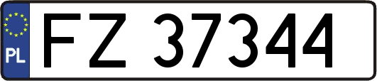 FZ37344