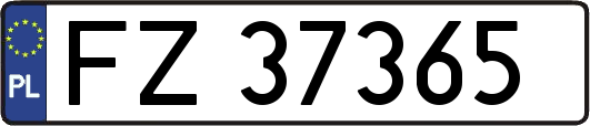 FZ37365