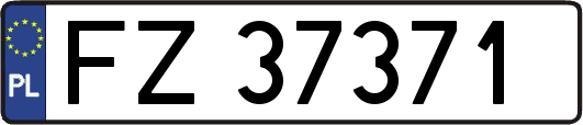 FZ37371