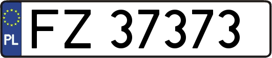 FZ37373