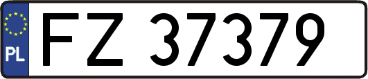 FZ37379