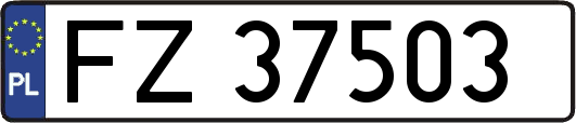 FZ37503