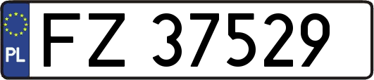 FZ37529