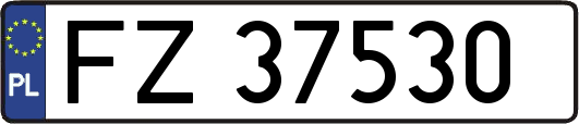 FZ37530