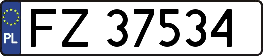 FZ37534