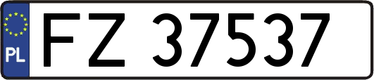 FZ37537