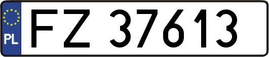 FZ37613