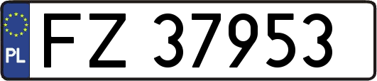 FZ37953