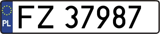 FZ37987