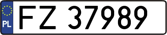 FZ37989