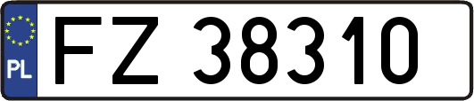 FZ38310