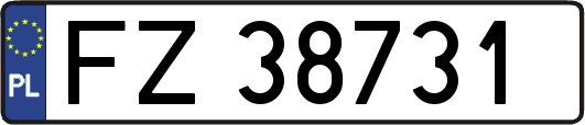 FZ38731
