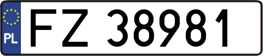 FZ38981