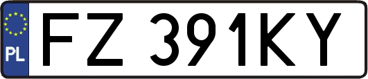 FZ391KY