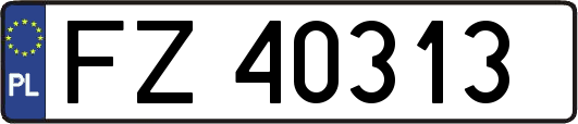FZ40313