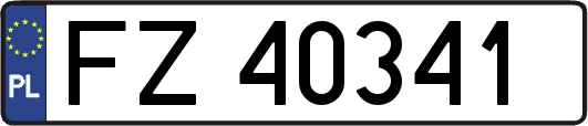 FZ40341