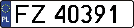 FZ40391