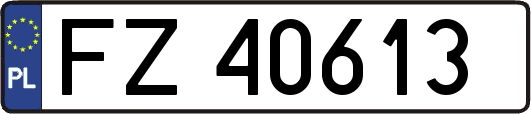 FZ40613