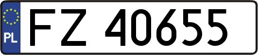 FZ40655