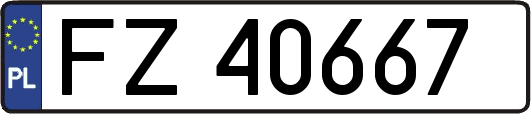 FZ40667