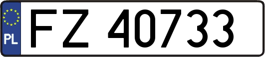 FZ40733