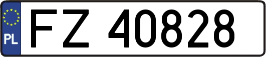 FZ40828
