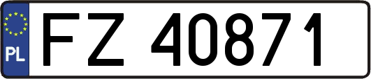 FZ40871