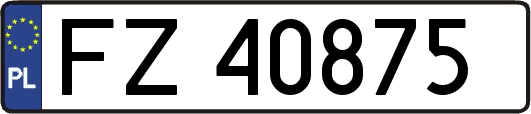 FZ40875