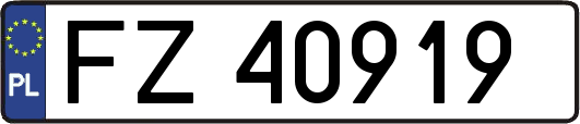 FZ40919