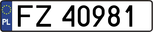 FZ40981