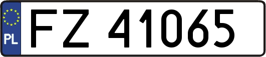 FZ41065