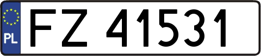 FZ41531