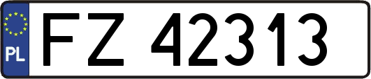 FZ42313