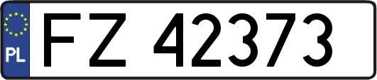 FZ42373