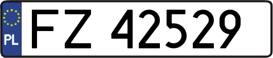 FZ42529