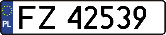 FZ42539