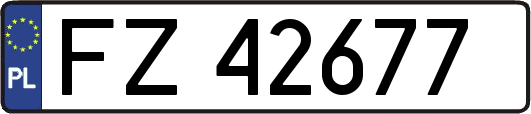 FZ42677