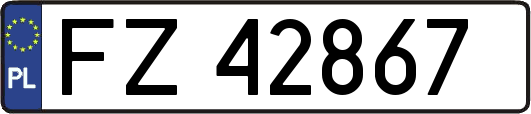 FZ42867