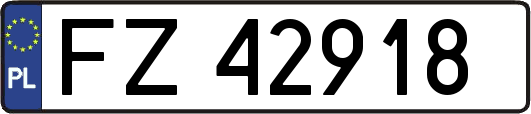 FZ42918