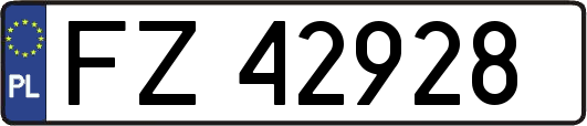 FZ42928