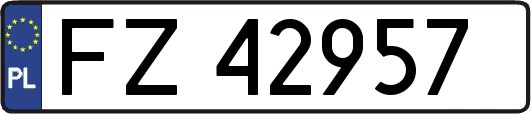 FZ42957