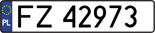 FZ42973