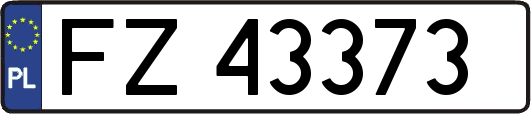 FZ43373