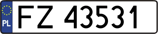 FZ43531