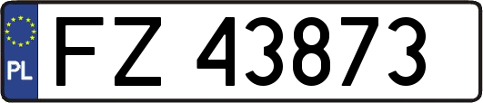 FZ43873