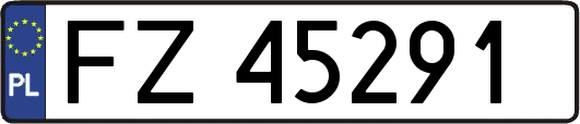 FZ45291