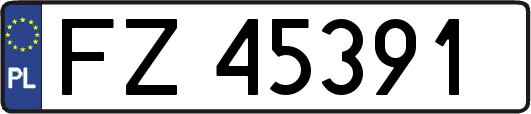 FZ45391